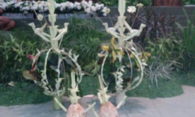 Kembar mayang Jogja