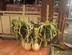 Jual Kembar Mayang di Sleman Yogyakarta
